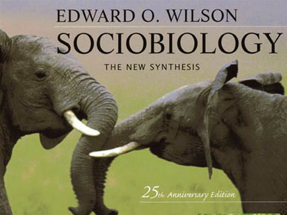 Three Tributes To E O Wilson Was He Our Modern Day Darwin