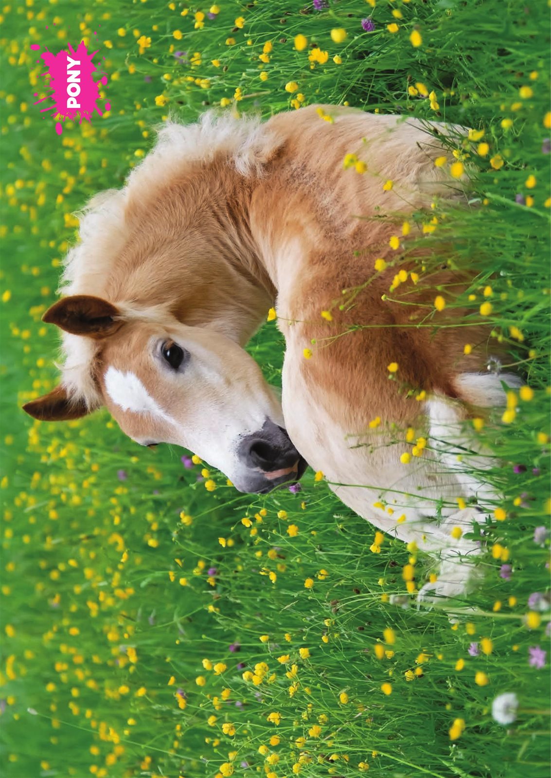 PONY Pony Magazine PONY Magazine Spring 2024 pony-pony-magazine-pony-magazine-spring-2024