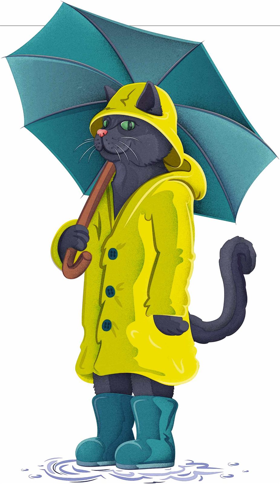 HOW DO CATS KNOW WHEN IT S ABOUT TO RAIN BBC Science Focus Magazine how-do-cats-know-when-it-s-about-to-rain-bbc-science-focus-magazine