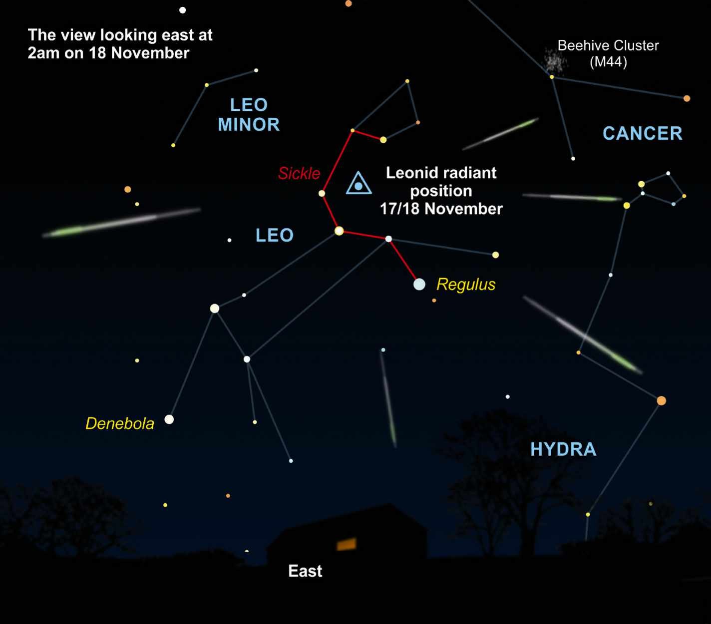 LEONIDS | BBC Science Focus Magazine November 2023