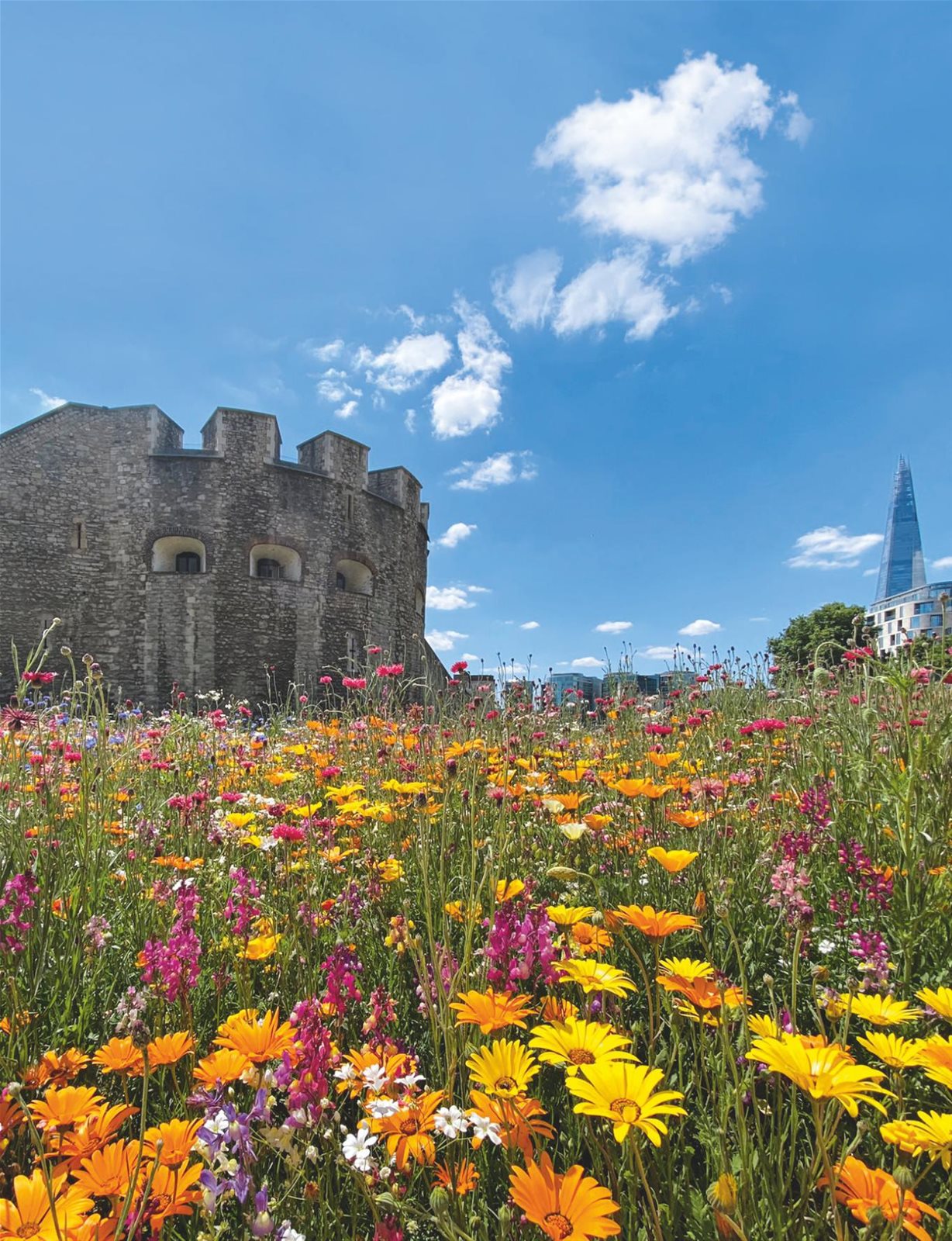 SAIRA KHAN’S PICK OF THE WEEK | Hello! Magazine 1752