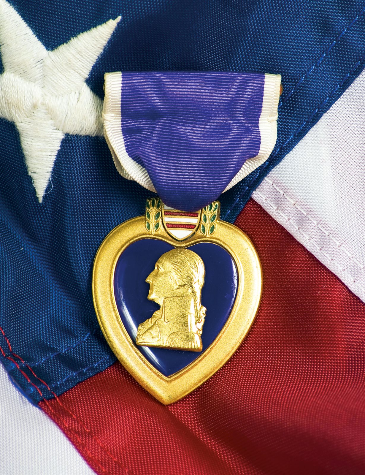 THE PURPLE HEART | History of War Issue 100